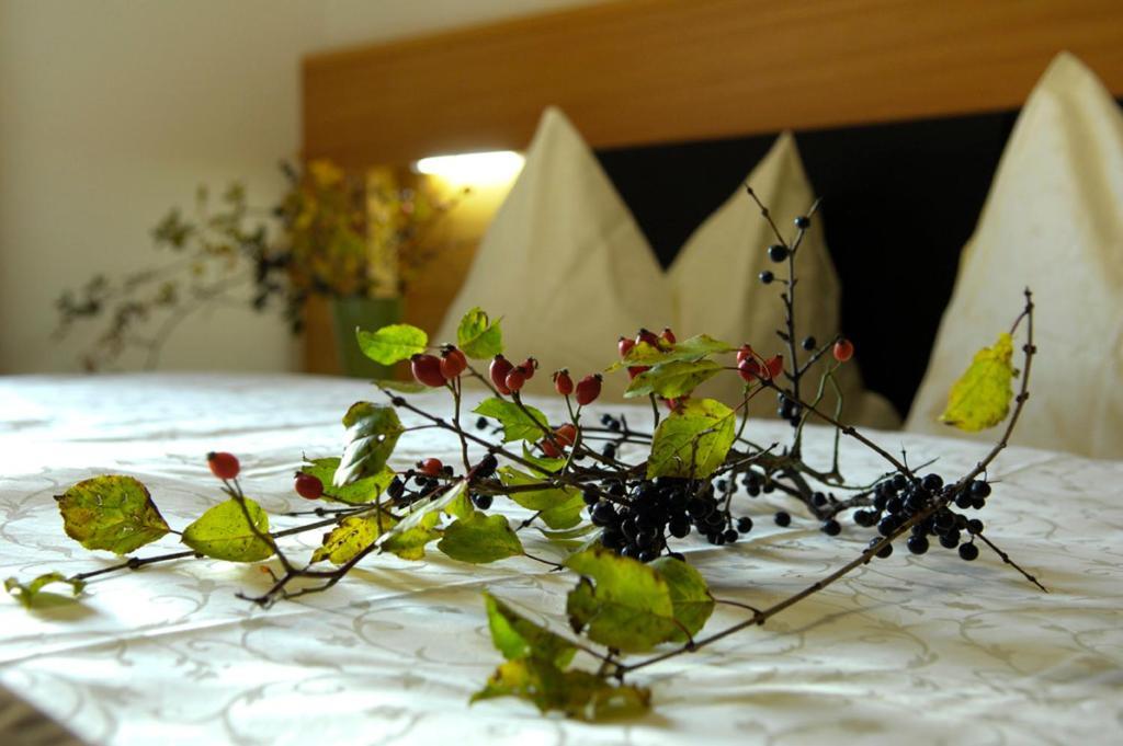 Villa Tilia Siusi Bilik gambar
